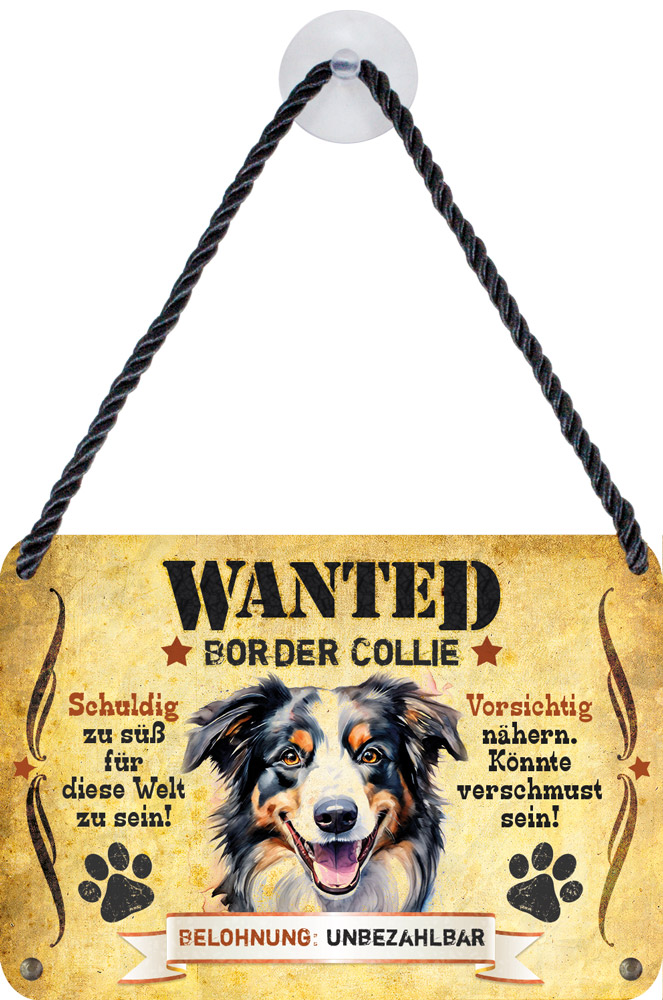 border-collie