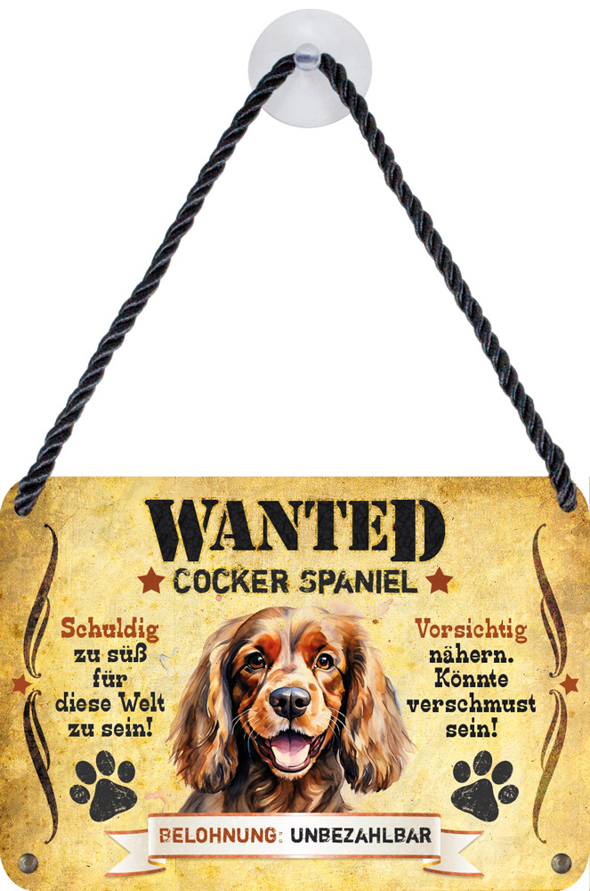 cocker-spaniel