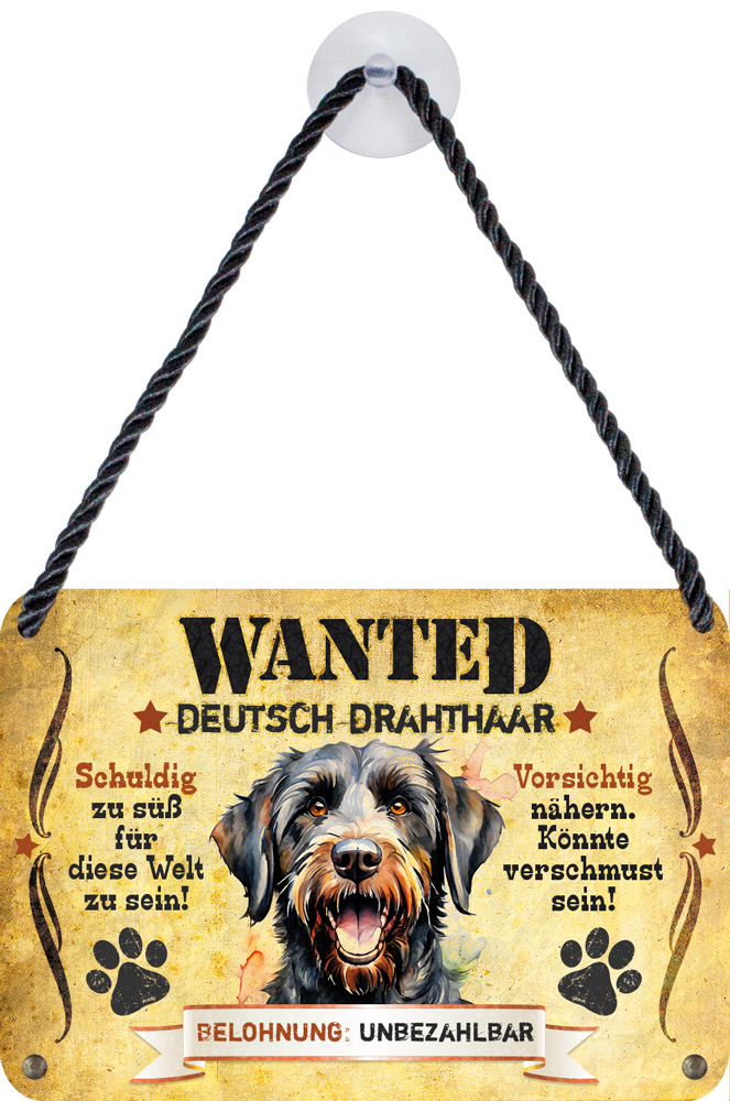 deutsch-drahthaar