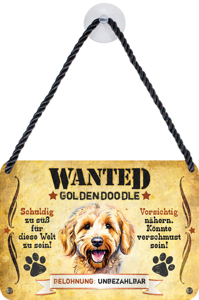 goldendoodle