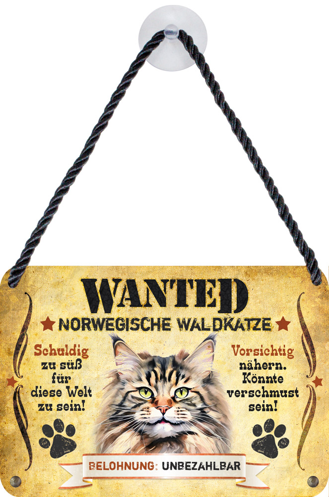 norwegische-waldkatze
