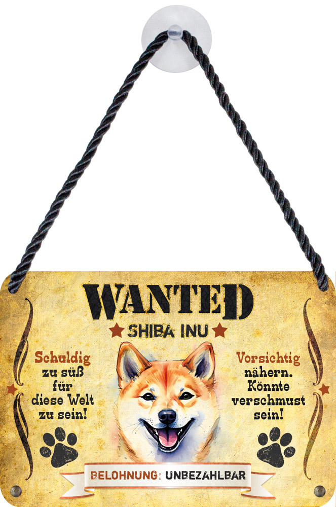 shiba-inu